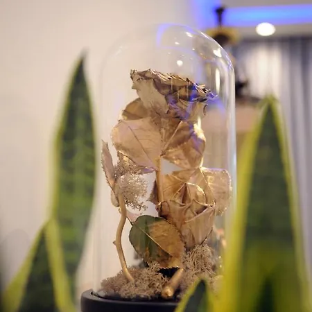 Golden Rose *
